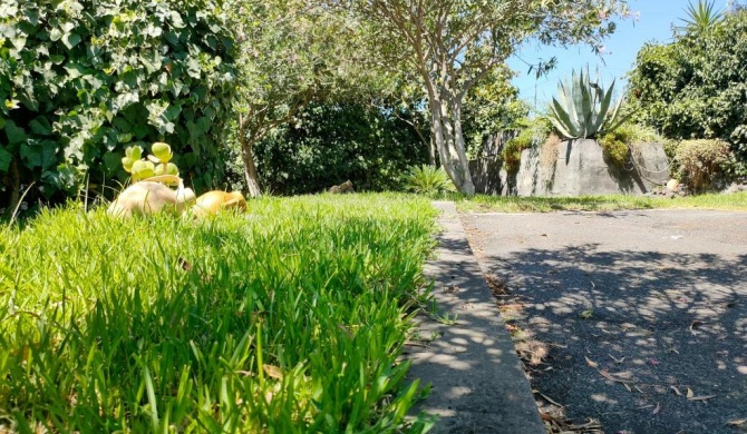 Il giardino dell'Etna