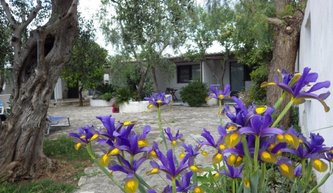 B&B Masseria Liberatore