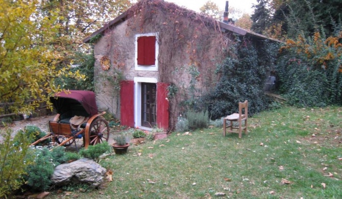 Centro Trekking A Cavallo Monte Brugiana