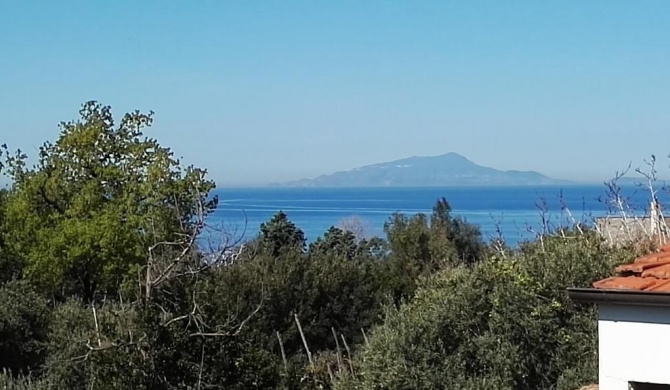 Il Giardino dei Gigli