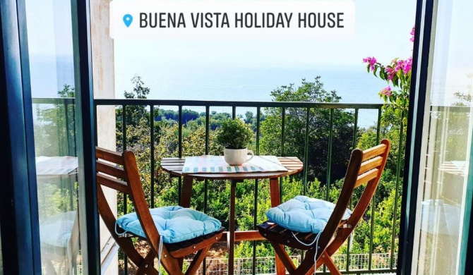 Buena Vista Holiday House