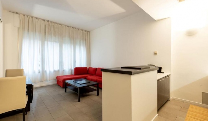 Apartment in Brera-Milan