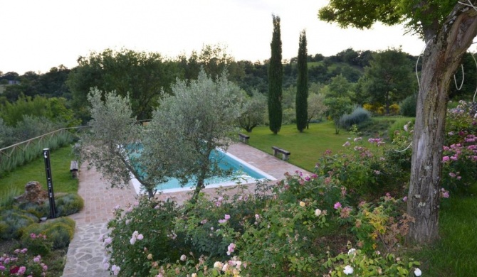 Umbrian Holiday on the enchanting hills of Todi!