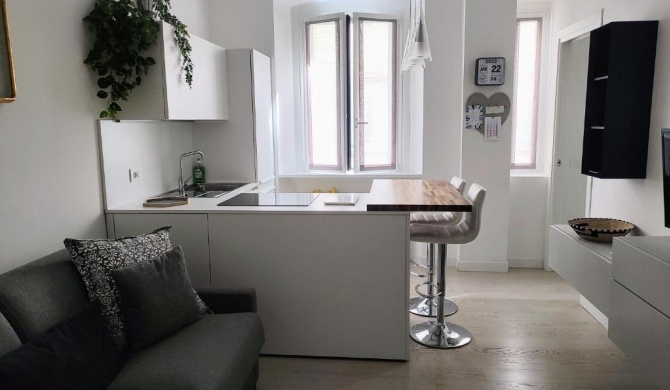 Wonderful apartment - Milan city center