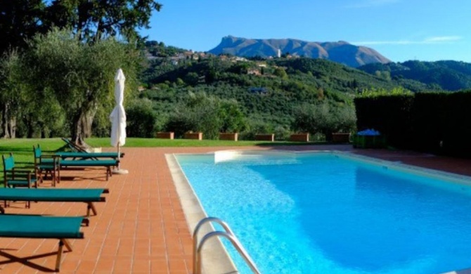 Villa Cenami Apartments with BIG POOL