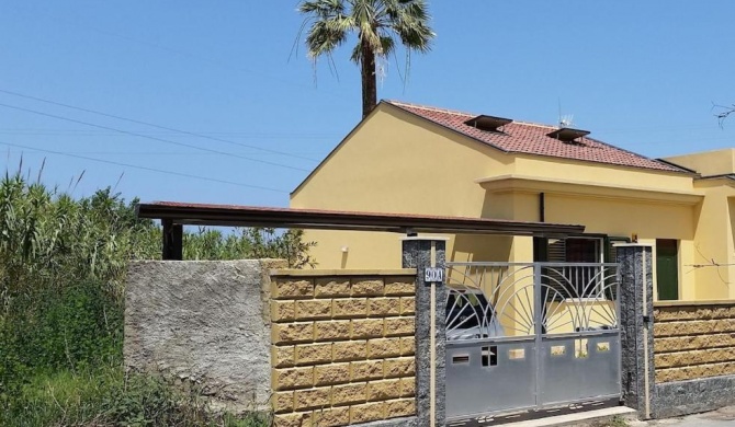 Detached house with garden